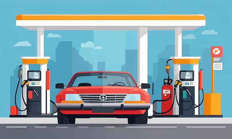Welcome to Petrol Pump Application Web Portal